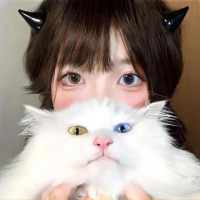 公牛免费在线观看